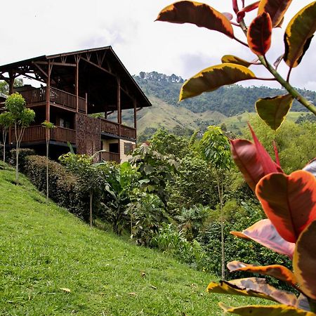 Tominejo Ecolodge - Casas En Los Arboles Neira 外观 照片