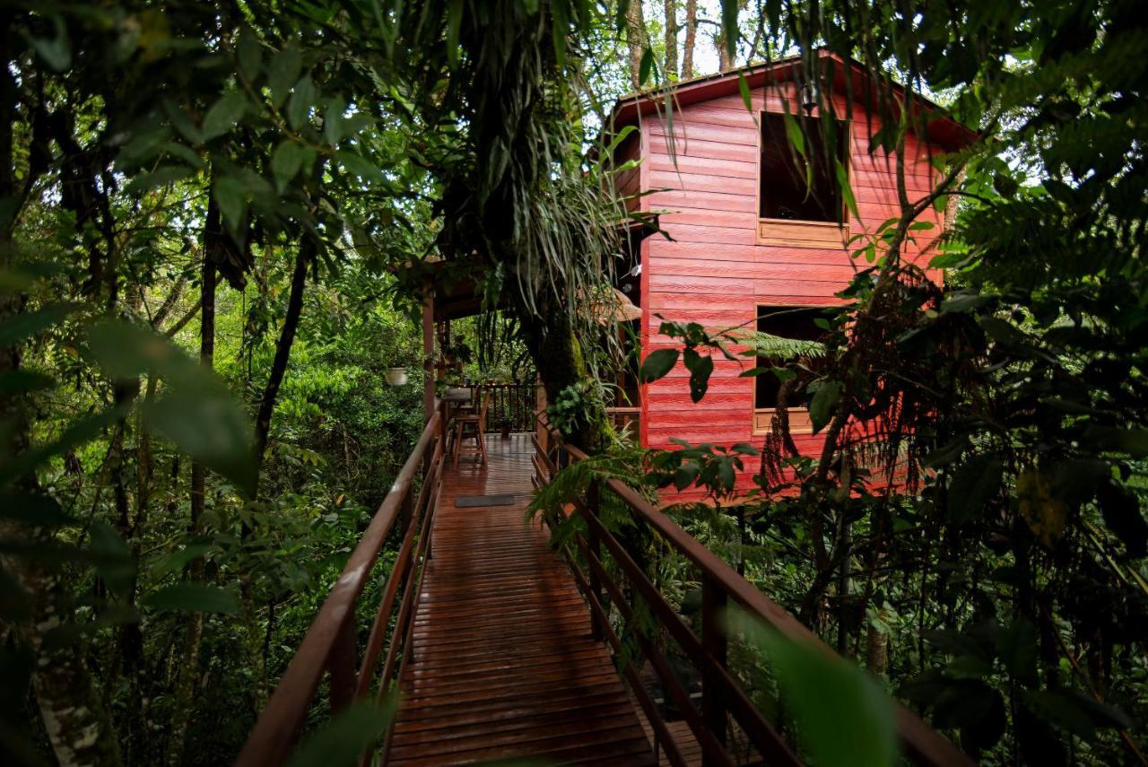 Tominejo Ecolodge - Casas En Los Arboles Neira 外观 照片