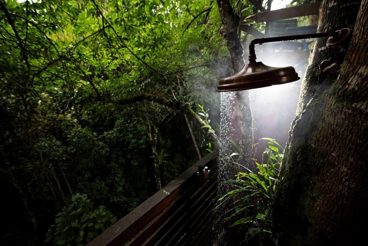 Tominejo Ecolodge - Casas En Los Arboles Neira 外观 照片