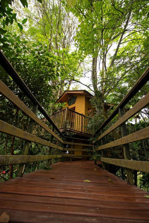 Tominejo Ecolodge - Casas En Los Arboles Neira 外观 照片