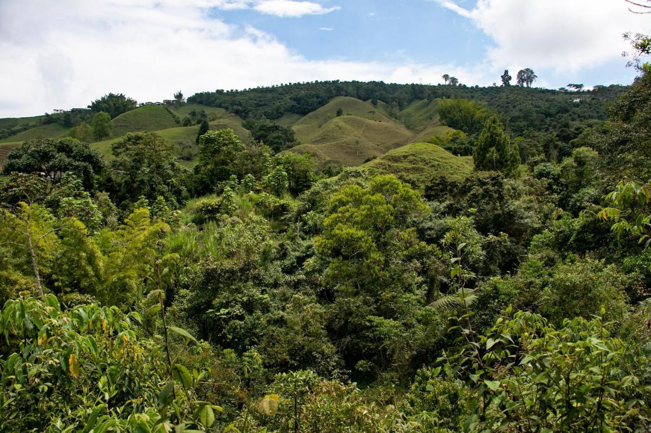 Tominejo Ecolodge - Casas En Los Arboles Neira 外观 照片