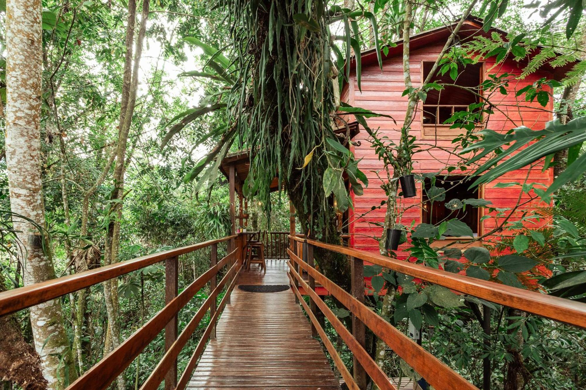 Tominejo Ecolodge - Casas En Los Arboles Neira 外观 照片