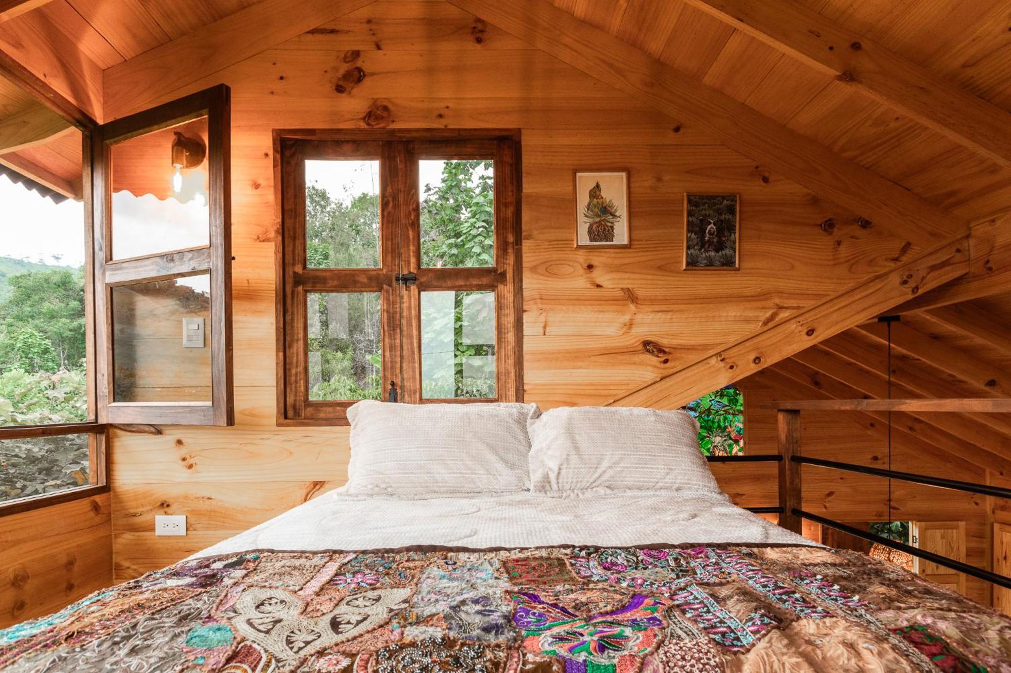 Tominejo Ecolodge - Casas En Los Arboles Neira 外观 照片