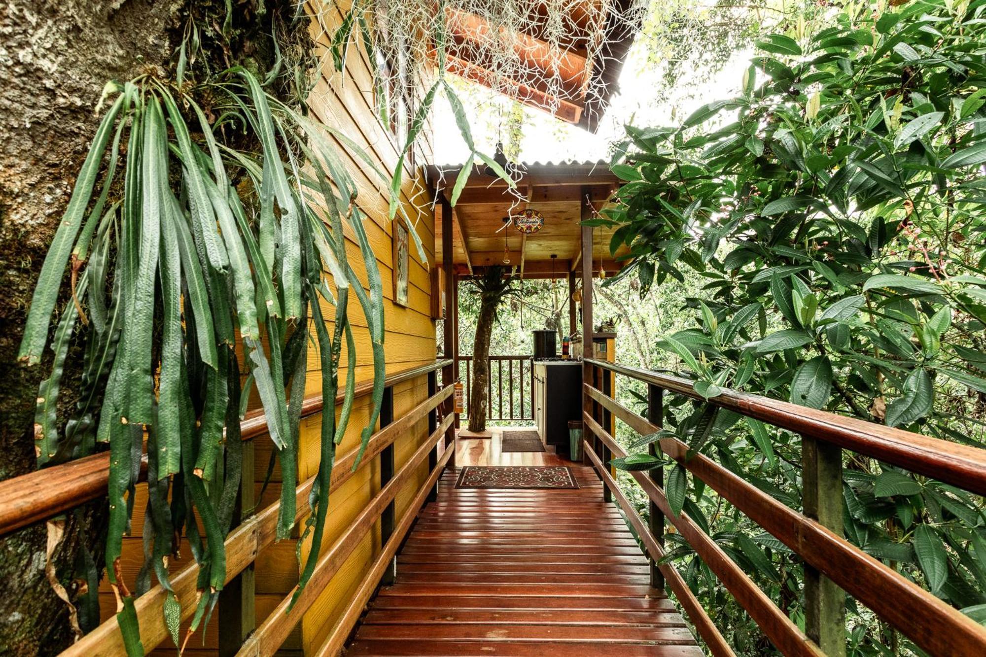 Tominejo Ecolodge - Casas En Los Arboles Neira 外观 照片