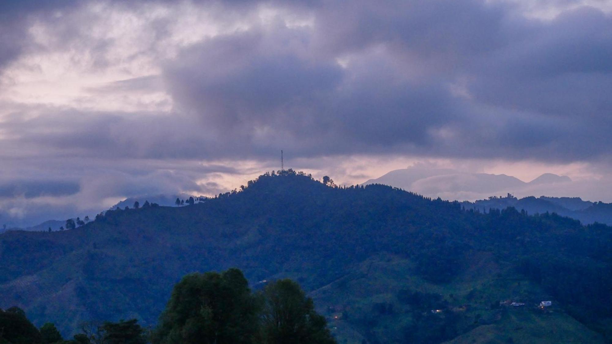 Tominejo Ecolodge - Casas En Los Arboles Neira 外观 照片