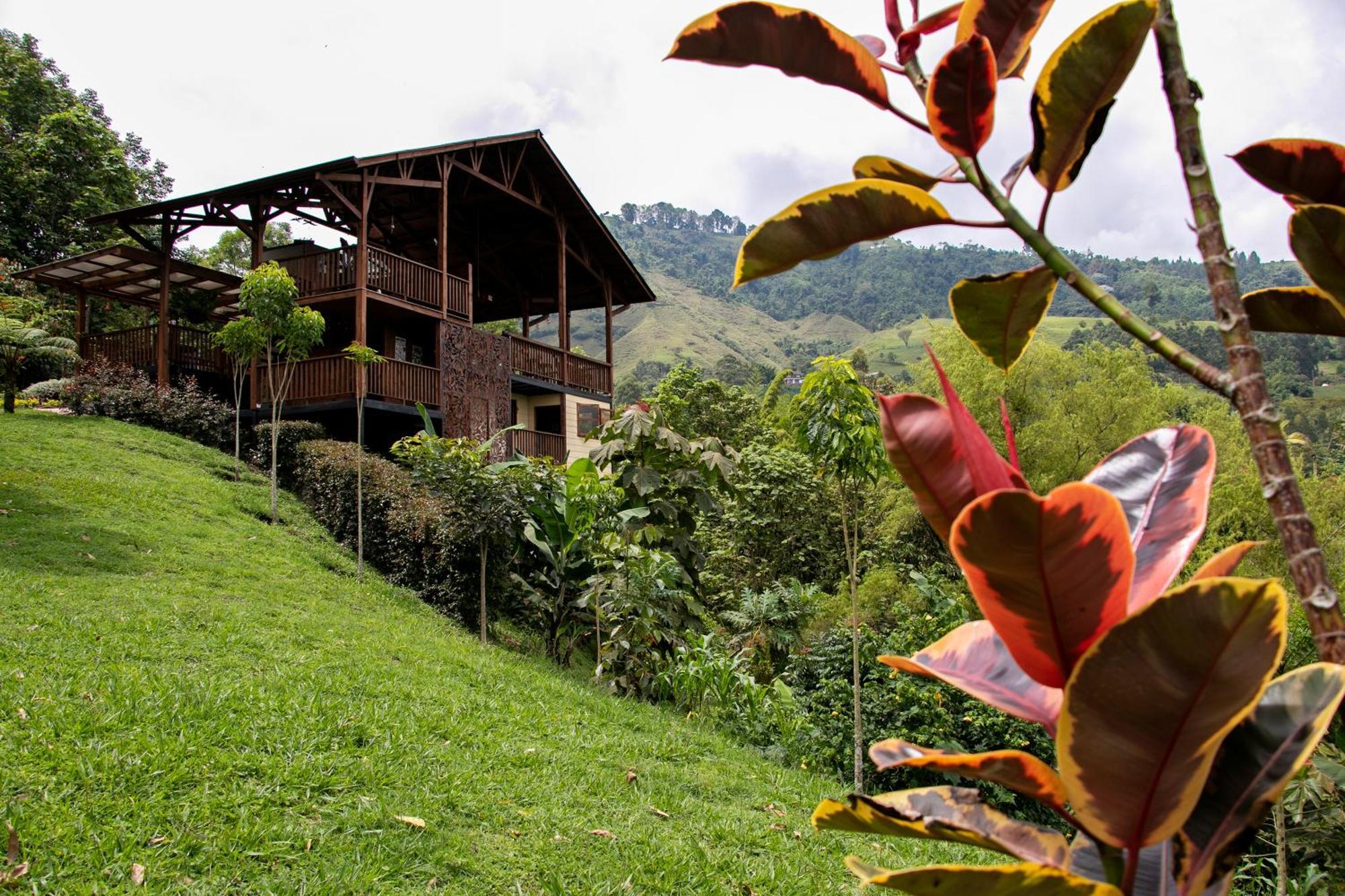 Tominejo Ecolodge - Casas En Los Arboles Neira 外观 照片